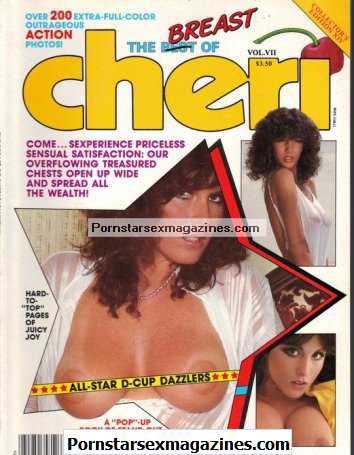 1980s Porn Big Breasts - 80s Porn Classic Â« PornstarSexMagazines.com