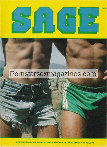 vintage gay magazine dsi sales sage