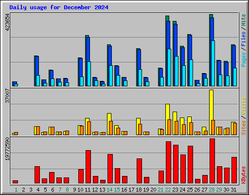 Daily usage for December 2024