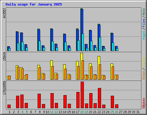 Daily usage for January 2025