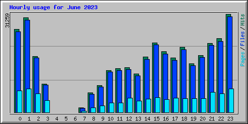 Hourly usage for June 2023
