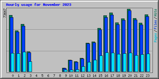 Hourly usage for November 2023