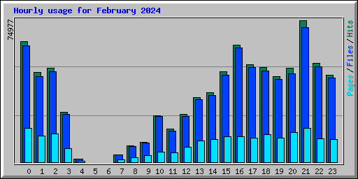 Hourly usage for February 2024