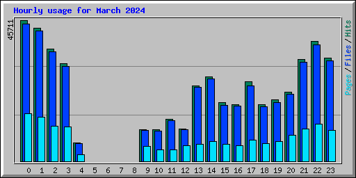 Hourly usage for March 2024
