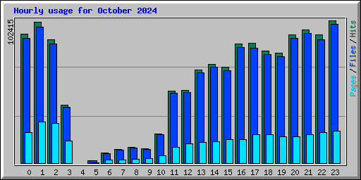 Hourly usage for October 2024