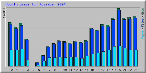 Hourly usage for November 2024