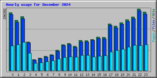 Hourly usage for December 2024