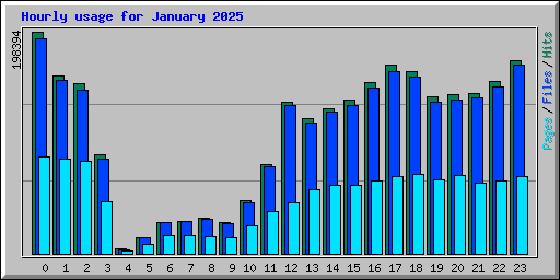 Hourly usage for January 2025