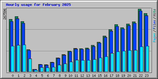 Hourly usage for February 2025