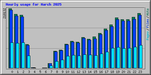 Hourly usage for March 2025