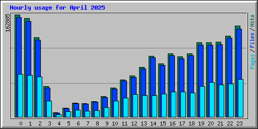 Hourly usage for April 2025