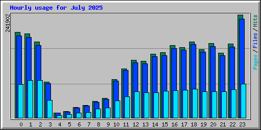 Hourly usage for July 2025