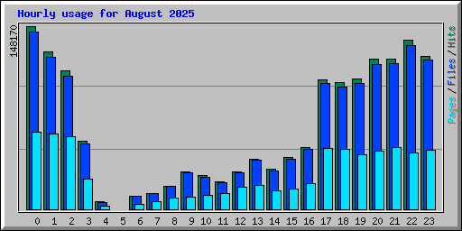 Hourly usage for August 2025