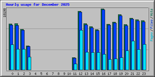 Hourly usage for December 2025