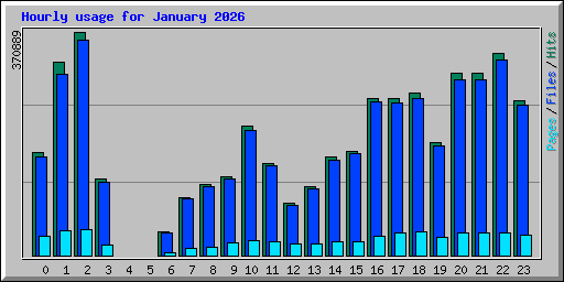 Hourly usage for January 2026