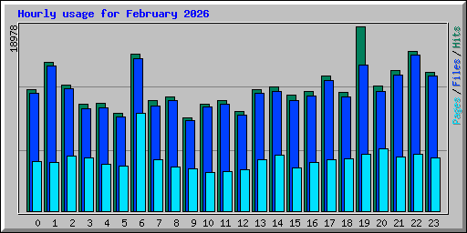 Hourly usage for February 2026