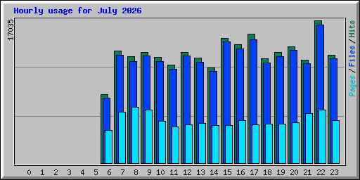 Hourly usage for July 2026