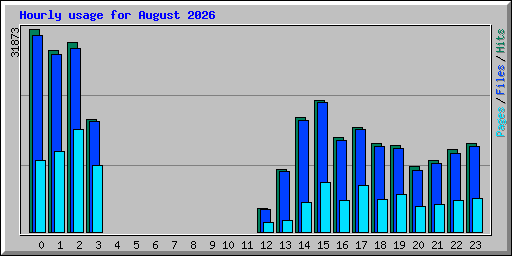 Hourly usage for August 2026